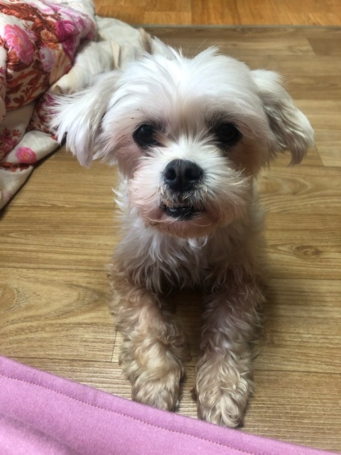 4�ϸ��� ��� �����^.^